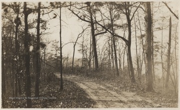 An unidentified road winds through a bare forest. 