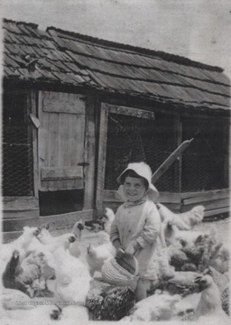 A young Bolton pictured holding a basket as he tends to the chickens.