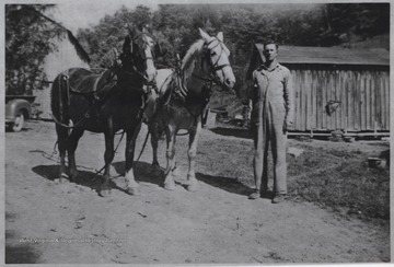 Shumate, who appears to be in a work uniform, poses beside the two horses that are saddled and bridled, perhaps ready to make a delivery. 