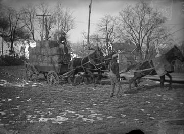 "Load of hay in mud (moving)" likely a rural scene in W. Va.