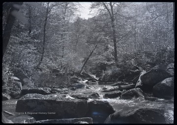 "Right fork of Leatherwood Creek, about 3/4 mile above the Forks" in Webster County, West Virginia.