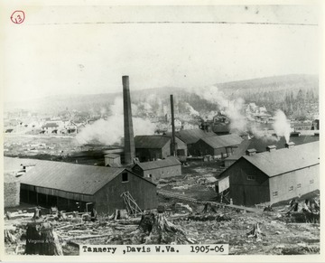 This image is part of the Thompson Family of Canaan Valley Collection. The Thompson family played a large role in the timber industry of Tucker County during the 1800s, and later prospered in the region as farmers, business owners, and prominent members of the Canaan Valley Community.A landscape view of a tannery in Davis, W. Va. 