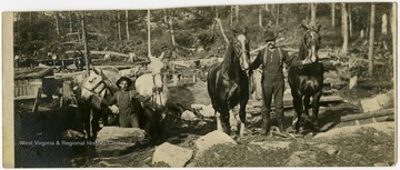 This image is part of the Thompson Family of Canaan Valley Collection. The Thompson family played a large role in the timber industry of Tucker County during the 1800s, and later prospered in the region as farmers, business owners, and prominent members of the Canaan Valley community.Two teamsters seen with four horses in a logging site in Davis, W. Va.