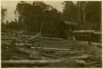 Logging machinery, possibly a skidder, used to load logs is shown picking up one fallen log.This image is part of the Thompson Family of Canaan Valley Collection. The Thompson family played a large role in the timber industry of Tucker County during the 1800s, and later prospered in the region as farmers, business owners, and prominent members of the Canaan Valley community.