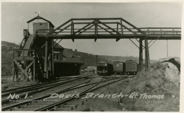 The railroad traveled from Davis, W. Va. to Thomas, W. Va.This image is part of the Thompson Family of Canaan Valley Collection. The Thompson family played a large role in the timber industry of Tucker County during the 1800s, and later prospered in the region as farmers, business owners, and prominent members of the Canaan Valley community.