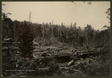 Logs cut from the Canaan Valley region are stacked in a clearing.This image is part of the Thompson Family of Canaan Valley Collection. The Thompson family played a large role in the timber industry of Tucker County during the 1800s, and later prospered in the region as farmers, business owners, and prominent members of the Canaan Valley community.
