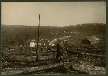 A small logging town next to burnt trees.This image is part of the Thomson Family of Canaan Valley Collection. The Thompson family played a large role in the timber industry of Tucker County during the 1800s, and later prospered in the region as farmers, business owners, and prominent members of the Canaan Valley community.