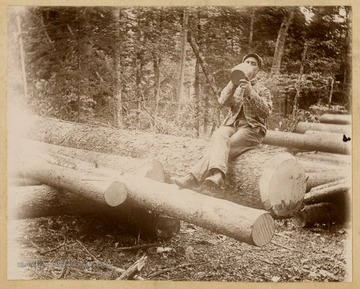 An unidentified man, likely a logger, takes a swig from a jug as he sits on newly cut trees.This image is part of the Thompson Family of Canaan Valley Collection. The Thompson family played a large role in the timber industry of Tucker County during the 1800s, and later prospered in the region as farmers, business owners, and prominent members of the Canaan Valley community.