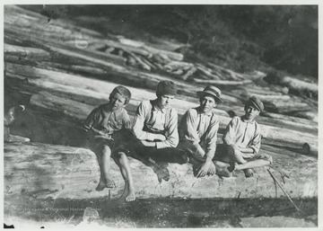 Four unidentified boys pose together on a log.  Other logs are visible in the background, possibly from a logging company.