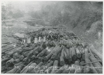 A group of men and women stand on a pile of lumber next to the Guyandotte River.  A wooden railroad track is to the right.