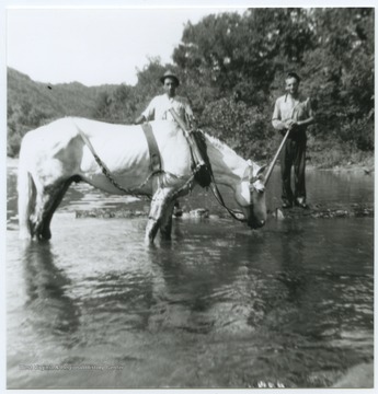 The two unidentified men walk a horse through what is also known as Greenbrier Springs. The springs are located along the Greenbrier River. 