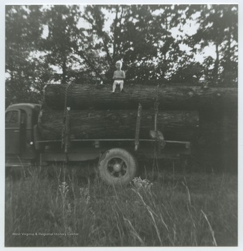 An unidentified boy sits on top of a set of logs which is stacked on top of a truck. 
