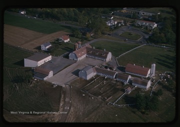 Aerial view of the dairy farm buildings and grounds. 