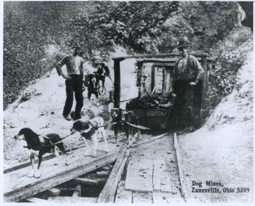 Two miners supervise the dogs pulling a cart of coal from the mine entrance. 