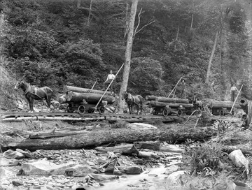 Three men each stand on their cart of logs which are being pulled by horses on wooden rail tracks. 