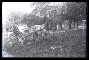 A man and a woman sit in the carriage while a horse pulls it across a field. 