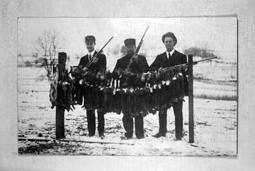 Anderson and his two associates pose with their rifles, showing off the dozens of rabbits brought back from a hunt.