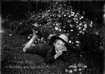 An unidentified boy lays in the grass beneath a flower bush with a pile of apples.  The boy is likely visiting the home of the photographer, James Edwin Green.