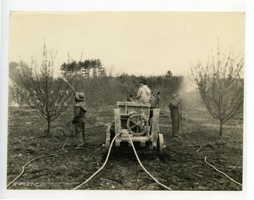 Three men wearing protective gear spray preventative pesticides from horse drawn pump.