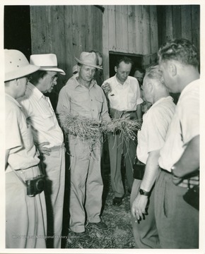 Mr. Holt holding hay for foreign tour group, which contains members from Italy, France, Yugoslavia, and Bulgaria.