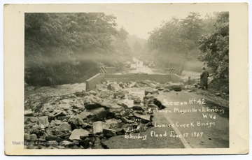 Text reads, "Scene on Route 42 between Maysville and Petersburg, W. Va. Lunice Creek Bridge, Petersburg,  Flood June 17 1949."