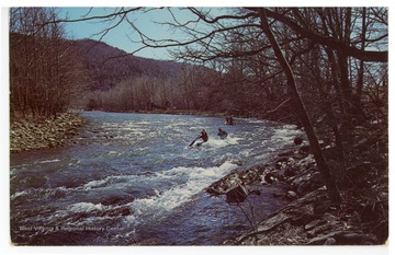Text on the back reads, "The first weekend of April each year there is white water racing over a 14 mile course, starting in Mouth of Seneca, W. Va., and ending near Petersburg, W. Va."