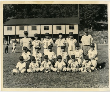 The Lion's Little League baseball club.